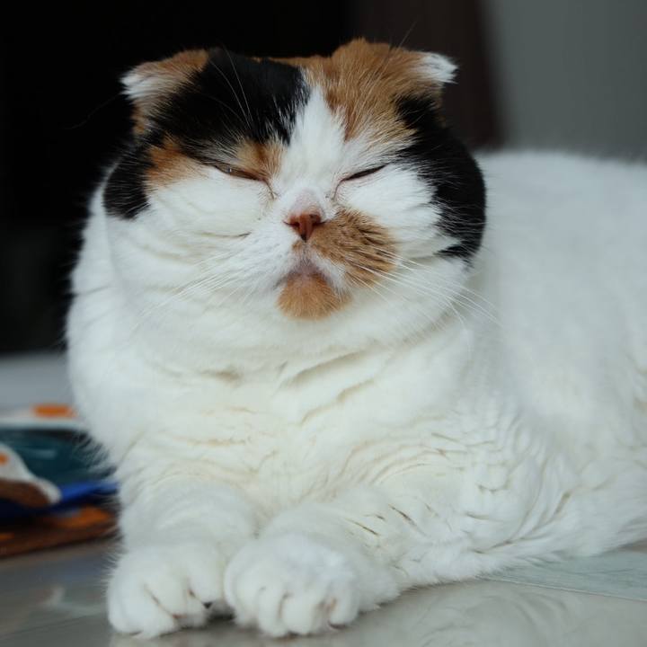 874214f0 f82e 4b0a ad3f 8cb11eb75923 1721527424472