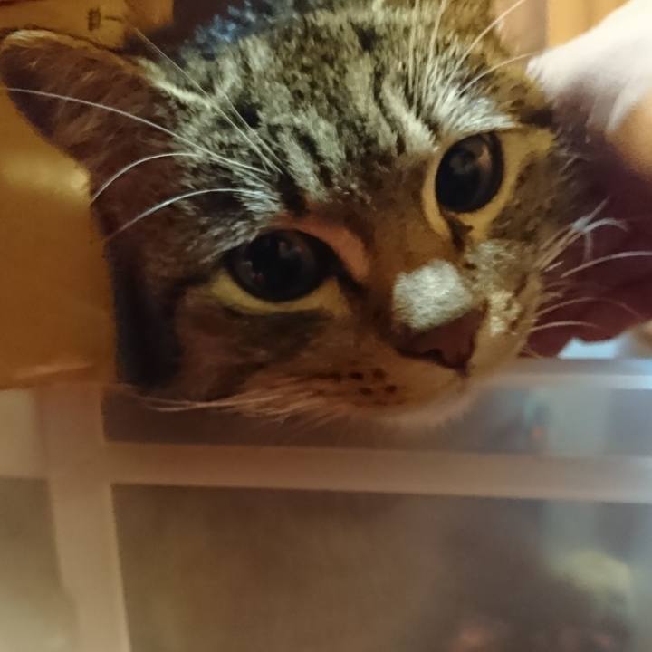 8742241e b10a 4081 9f86 08e375098871 1549033239380