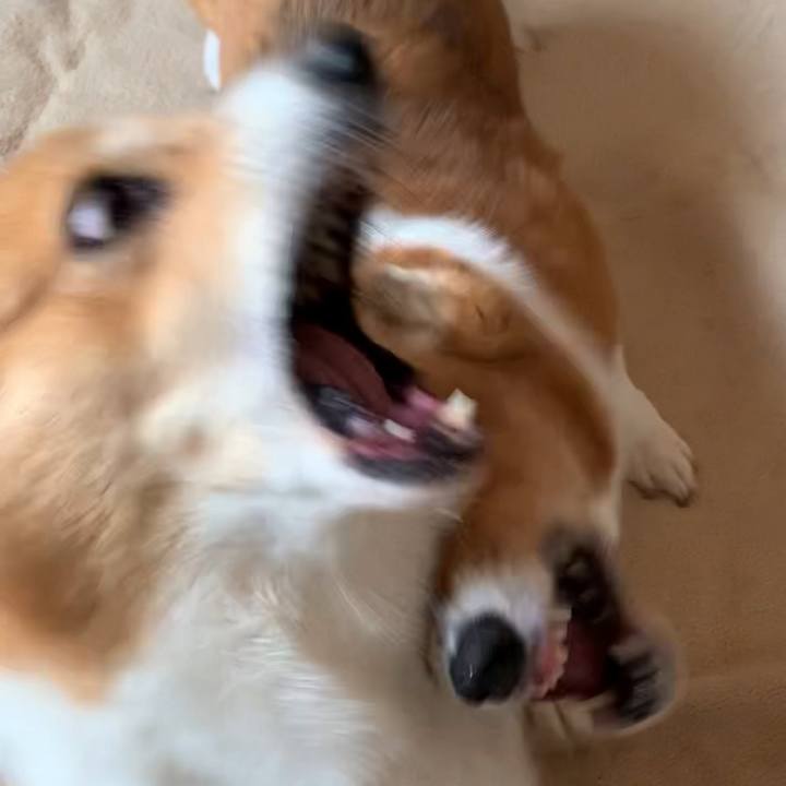 87422524 dded 4d6e bc67 3e2ec987a7b3 1632991415963