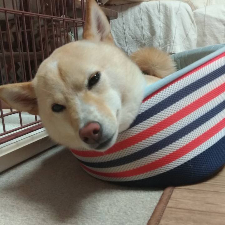 874244de a6d7 4113 8769 158ed0df777f 1532260327527