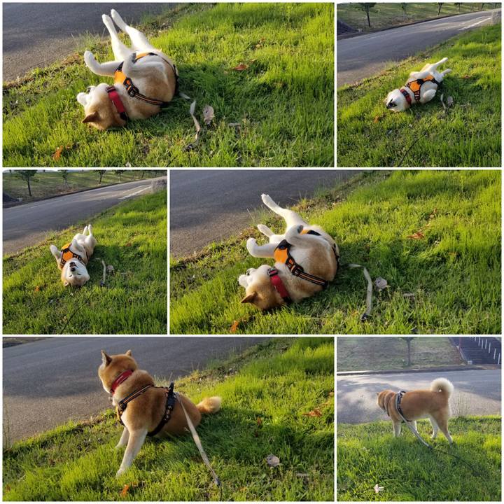 87428432 b313 4d5e 9765 a7de14a02f58 1715932857206