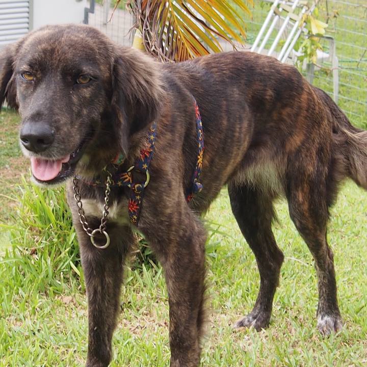 87428a1c 8b89 4731 a983 0e2b7bcbdd4c 1638061186814