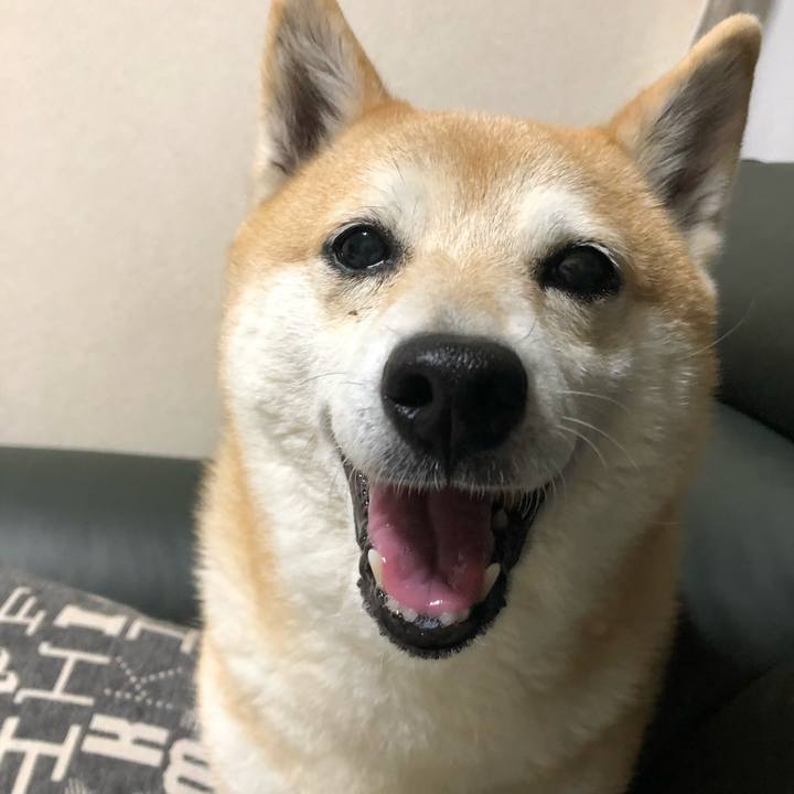 87428b78 d943 4755 a6b6 9be49279a5d9 1589864596663