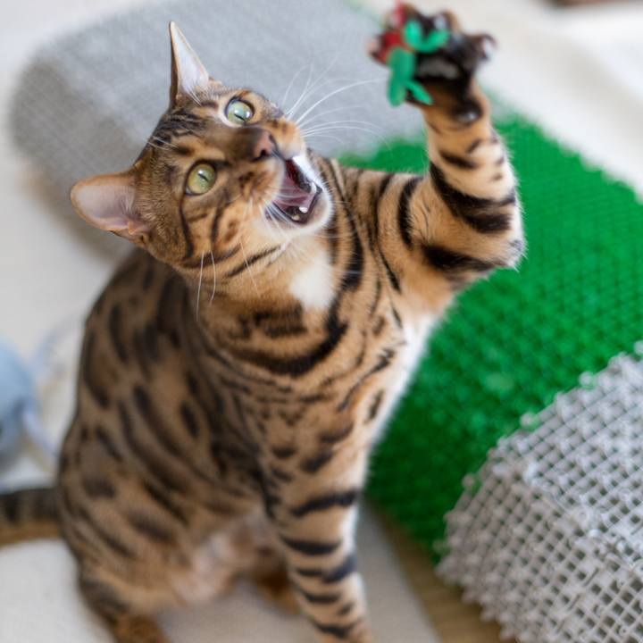 8742a34a b140 4ad3 b647 03867d63114c 1518439510706