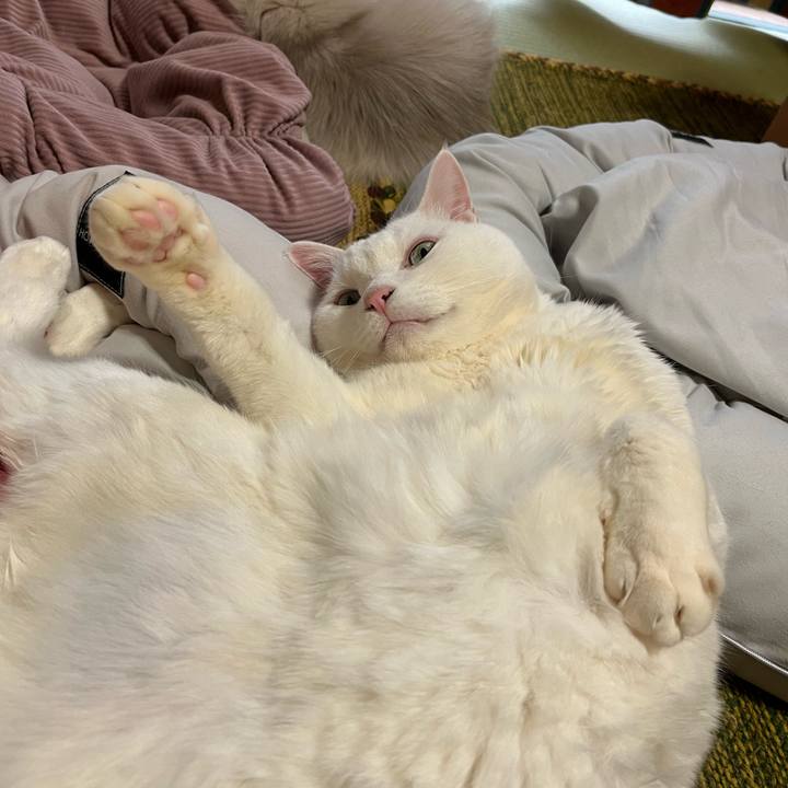 8742c47e 7a06 4fe1 8a64 2d97126744e5 1675493373547