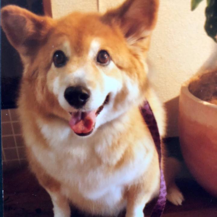 8742ee01 60e5 4543 859d dd85dd7762ca 1540517835763