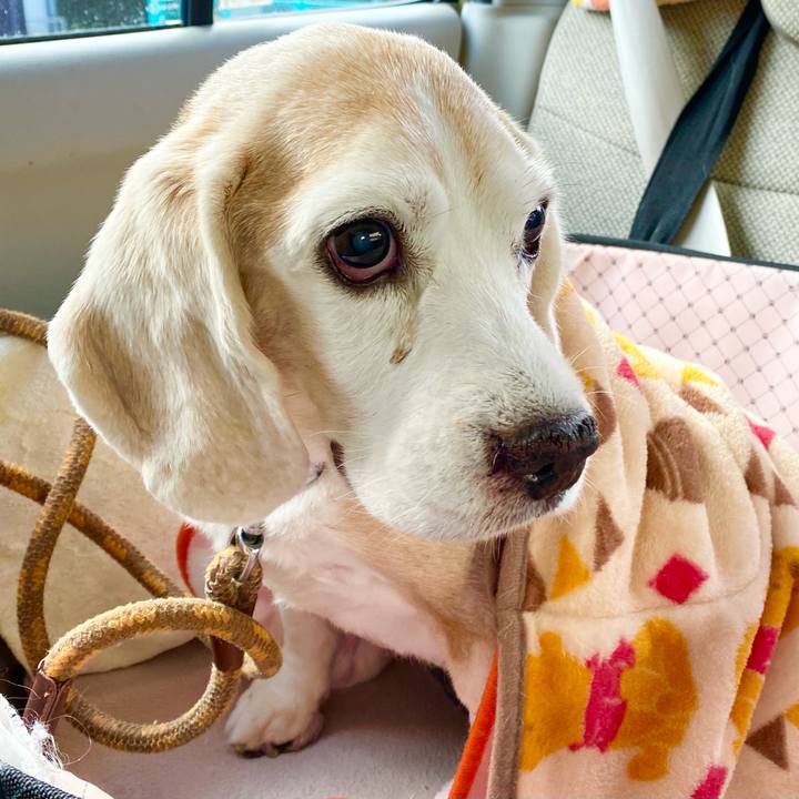 87433f39 2060 4ead b6d9 45820c984ec0 1670046219064