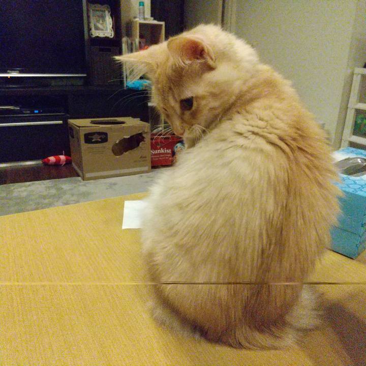 87434ff6 6e15 4c3a a88f a99a470a0281 1609934748424