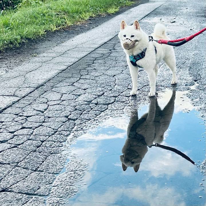 874371f9 36e7 4834 9a55 ab7be6d0ccb3 1754687343540