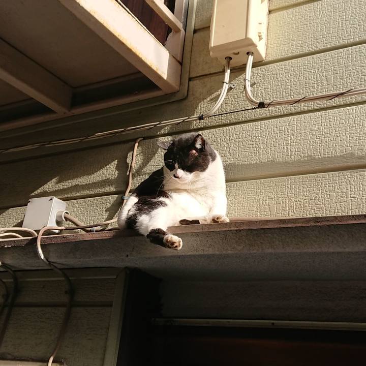 87438b4a 5006 479e a2a8 9990507a5772 1552950845895