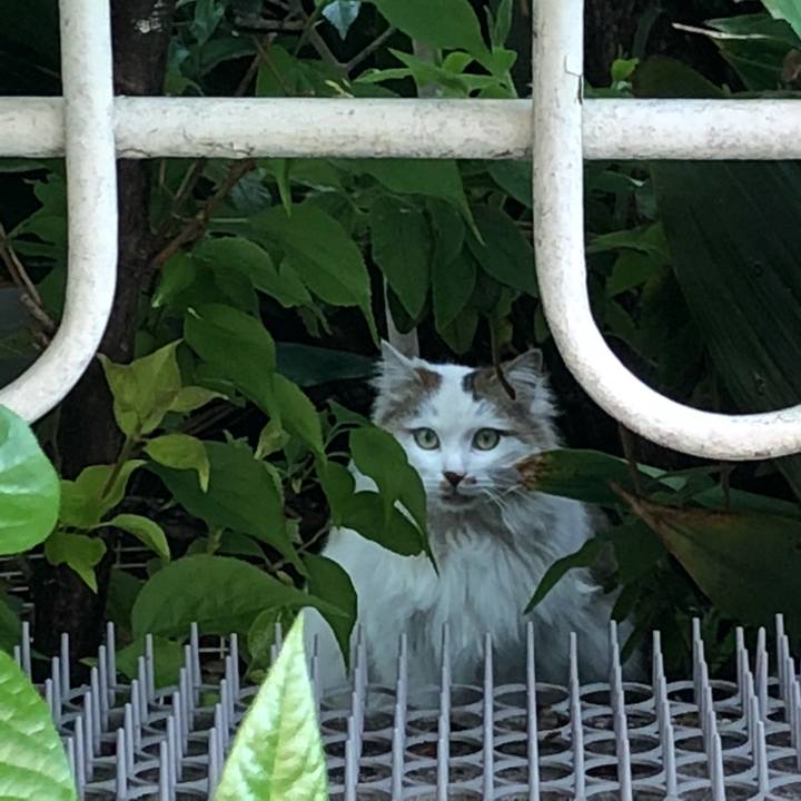 874395ec f305 4c04 b018 dd7860cddf79 1524066812934