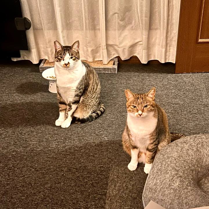 874396a7 7557 4ddd 87b5 2e4f8bf8d5e0 1765458605763