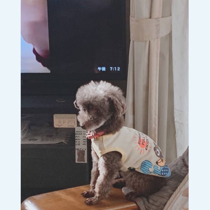 8743b967 7e08 4617 a5ed b8c261a25c44 1650666063638