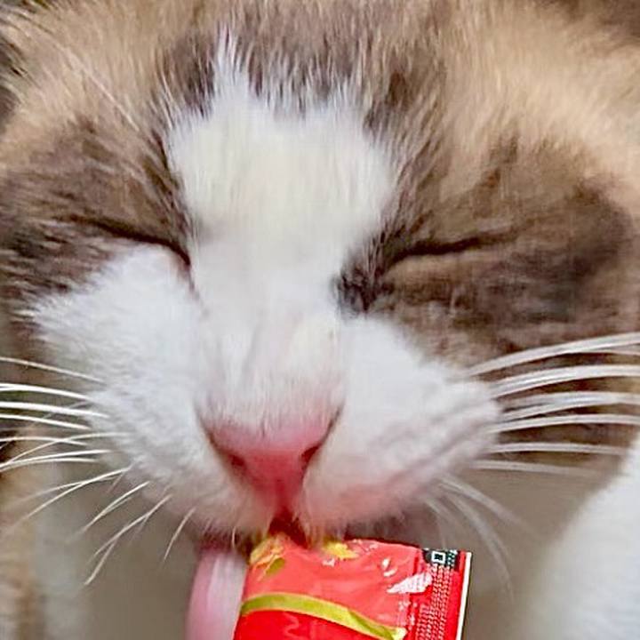 87442f21 8cee 43ec a339 e85cd0842816 1758967501610