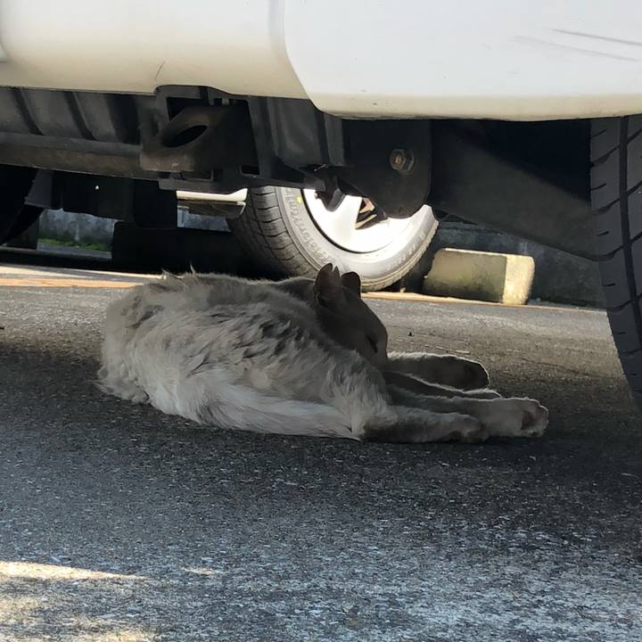 87444e43 aaf6 4a16 9654 21929860e7c8 1626244341325