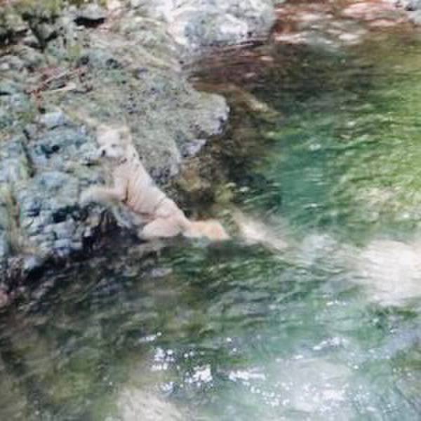 87446ebf c916 4fa8 9ce3 4f65cc1ec1d5 1593827274312