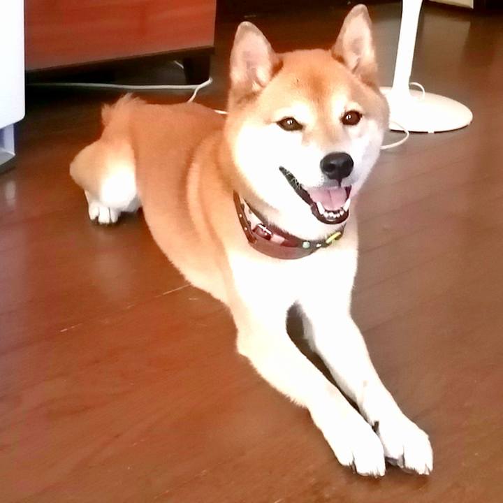 8744bfa0 e445 4c2d 8920 055a616005b7 1656580255215