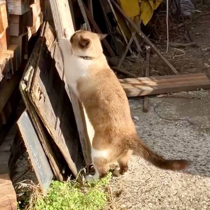 8744e4a6 8548 48b7 9d0c ecef82cadf53 1738998725066