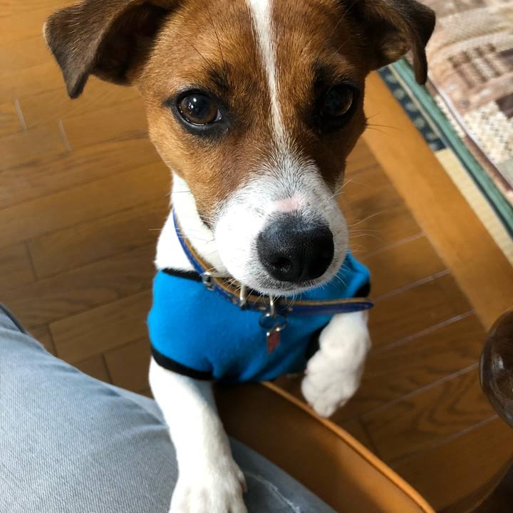 8744e878 2316 441d abf5 6d75907af1bc 1528856948404