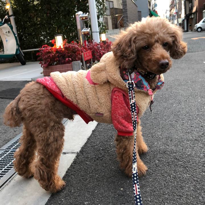 8744ed05 9b29 49d8 9b53 e18b60f5ceb6 1610445631616