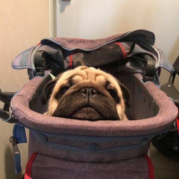 87454fe3 6785 4f23 9a88 ffec82f0b173 1590715418949