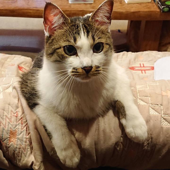 874570f9 394f 4c53 a092 5e3f5219f9a1 1616976345109