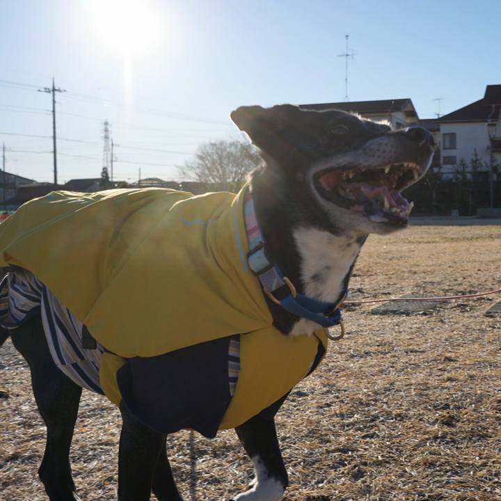 874573ed d089 47ea aafe 999b224c9dca 1767487915549