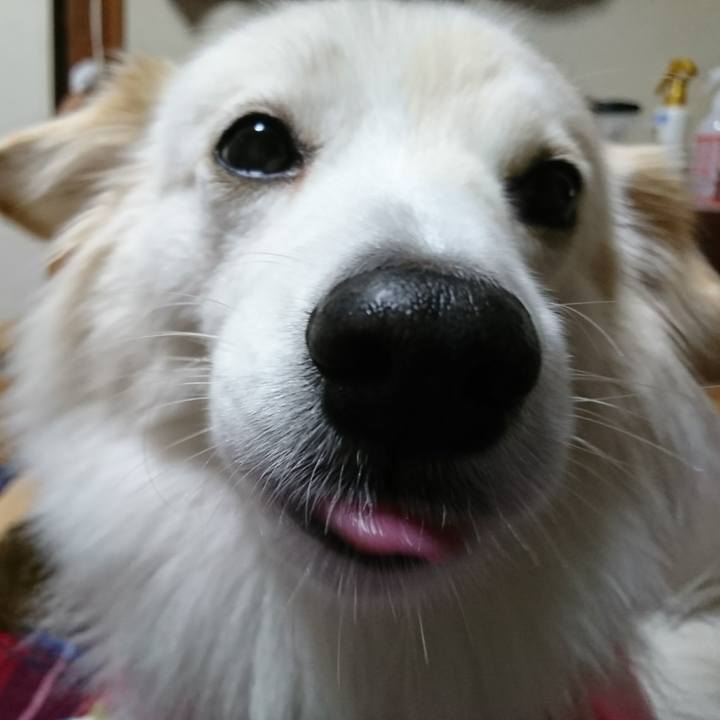 8745871d 4438 43eb bafb 6fa74811ffc5 1513022967072