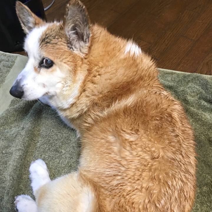 8745cdec 9f82 4ec5 8e93 f5c4385d1470 1554879787930