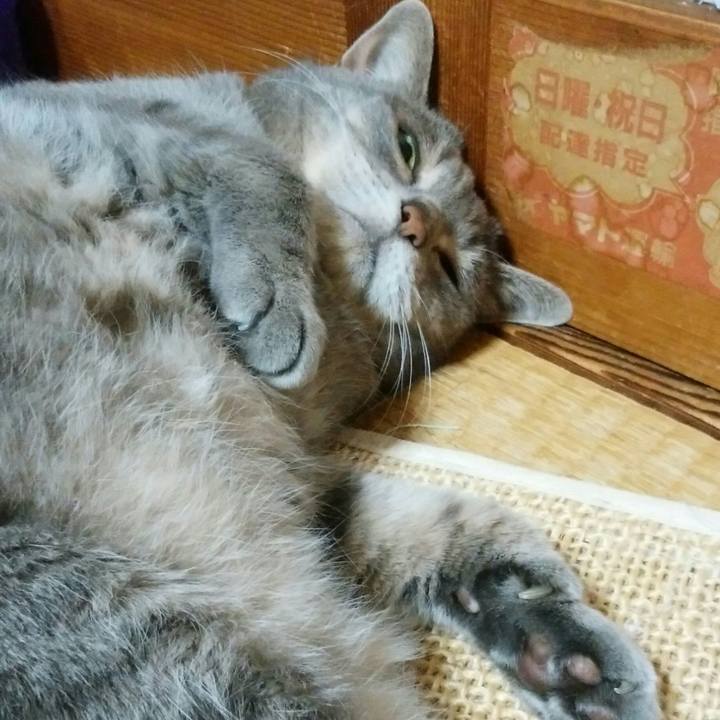 8745db5b 8b71 45b2 8017 14e98d3598e5 1591106695986