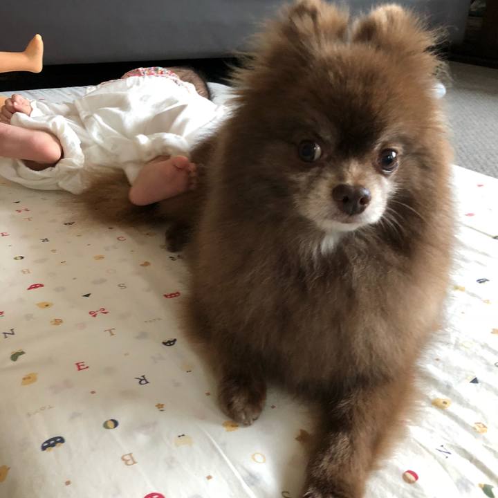 8745e426 8579 4ac4 9c06 549d62f0b046 1562089615779