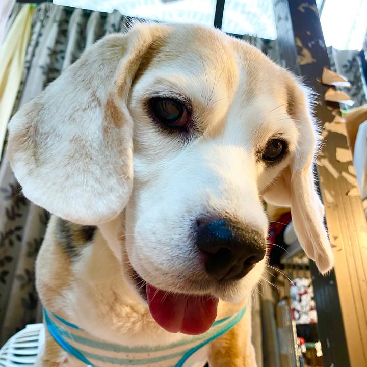 8745fd09 b203 462d 8ee6 0c553c13a79d 1660796819345