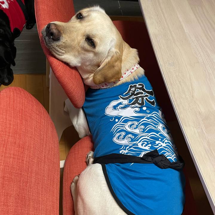 8745fd5d 7125 4fc4 a09e 7f428bb500ea 1651323679735