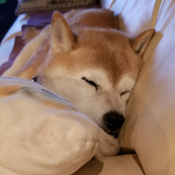 87468ff0 457e 4975 9c48 51437d6cd32f 1702034184747