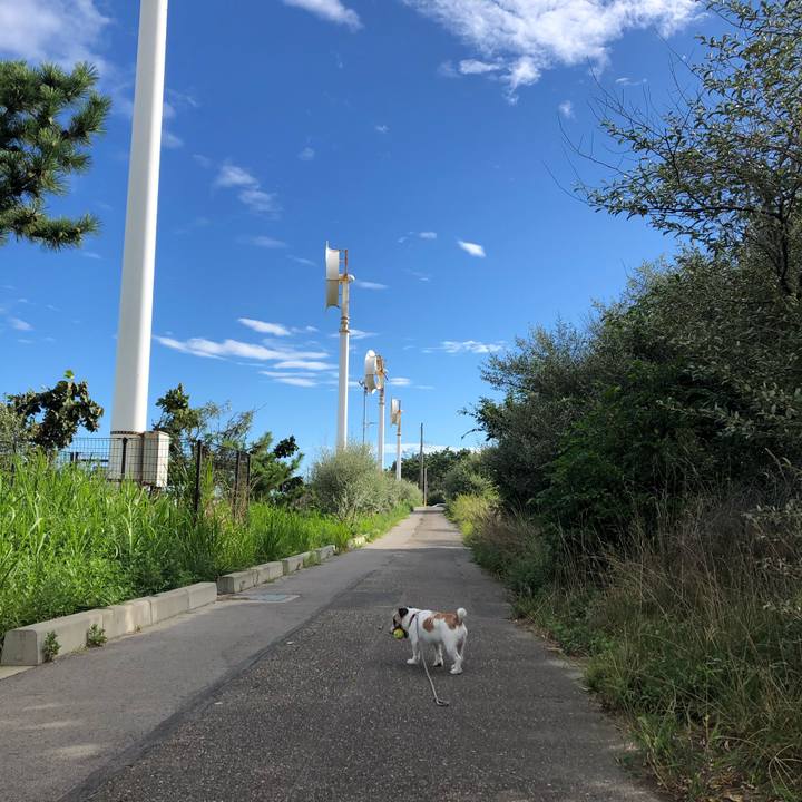 8746e5ec 5568 4a3b 8f1f 79b1a888b733 1599432206765