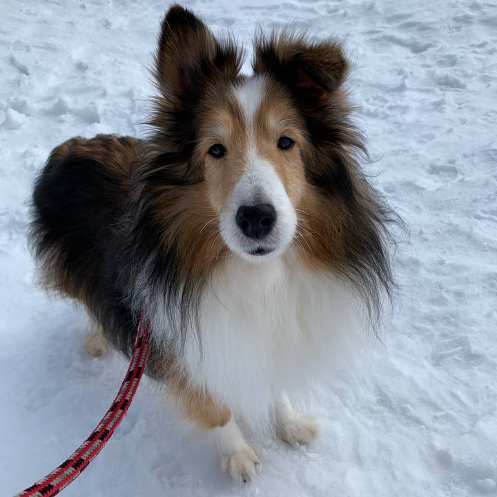 874709f2 a284 4fca 9b81 30612be30412 1583552730902