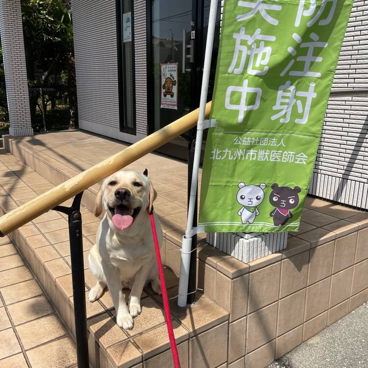 87470d90 fe62 4e67 a34e f1967ea6fe23 1650593301016