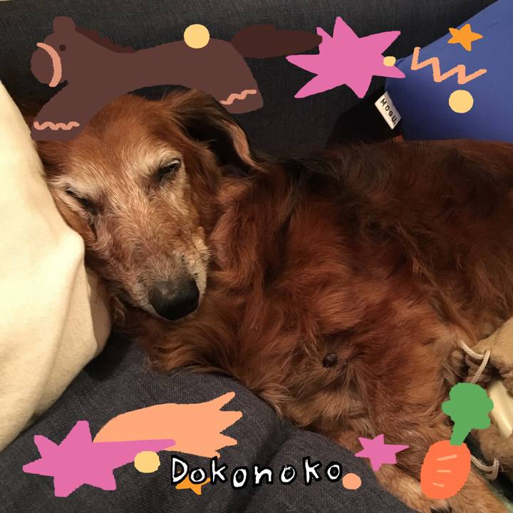 8747122f 6f45 444b bd02 f800f217fd03 1772371428644