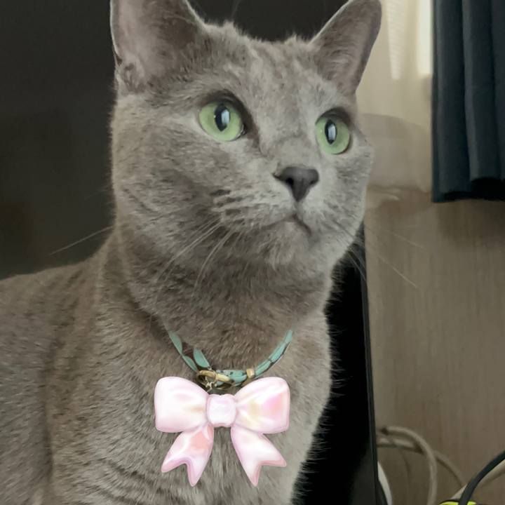 8747cda3 5f29 4d0b 82ad 453bb4542f59 1714967737067