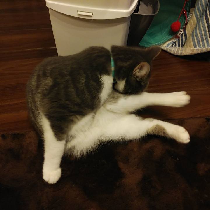 87485021 8e0e 4288 9bd8 c79c3a27e040 1580915024319