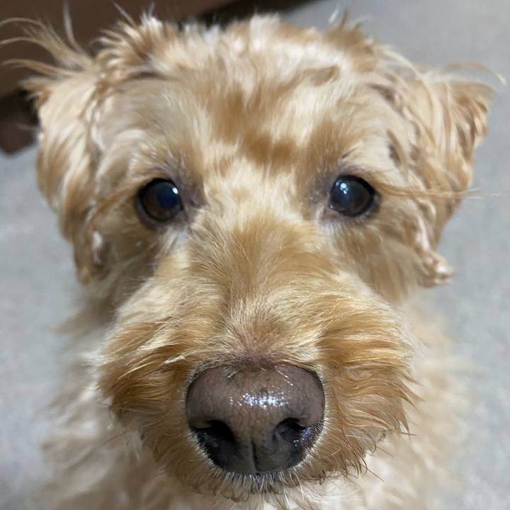 87488b8e e8e1 4604 b383 162430b2055b 1642497995734