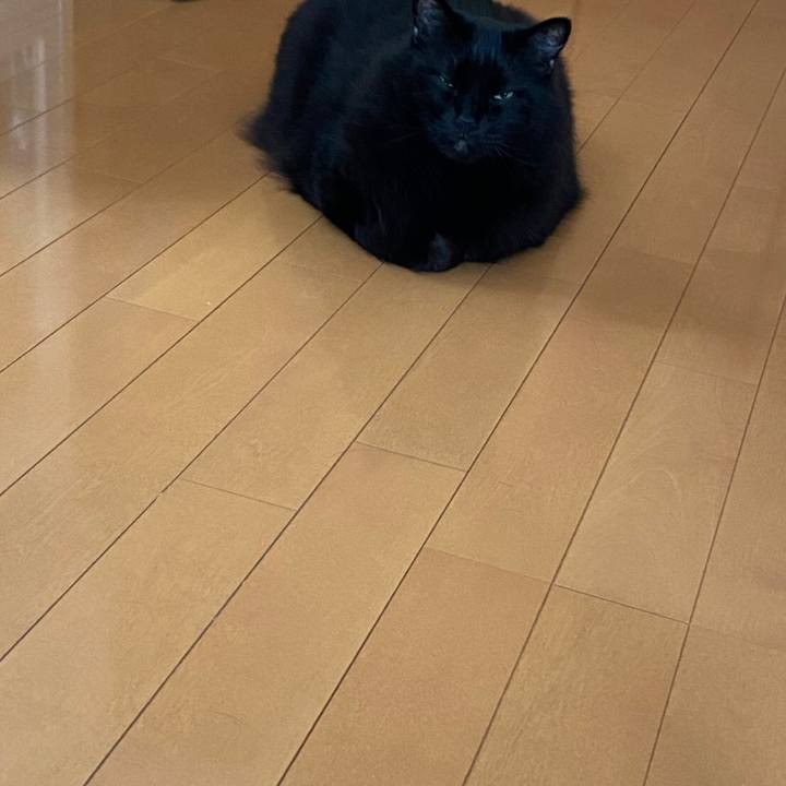 8748fef6 c909 4c07 9e2e ed5c250afd44 1595804987521