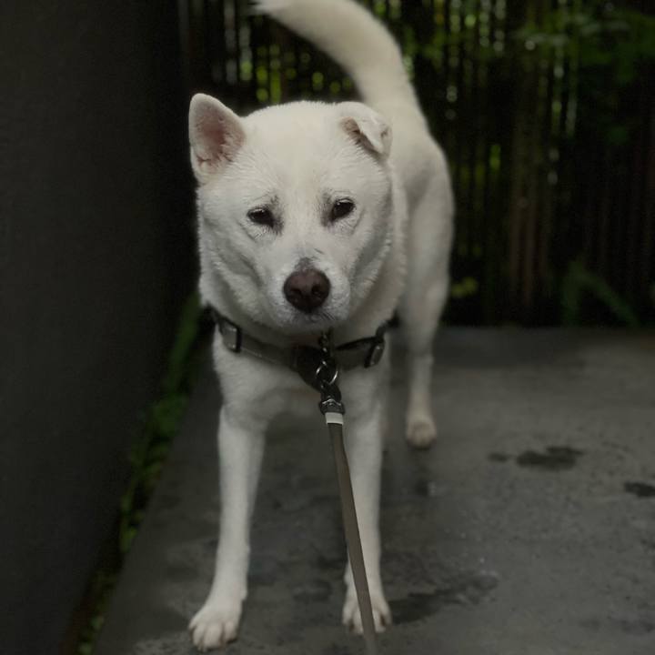 87492232 8b0d 40e0 a2f5 d086f0610226 1747872874111