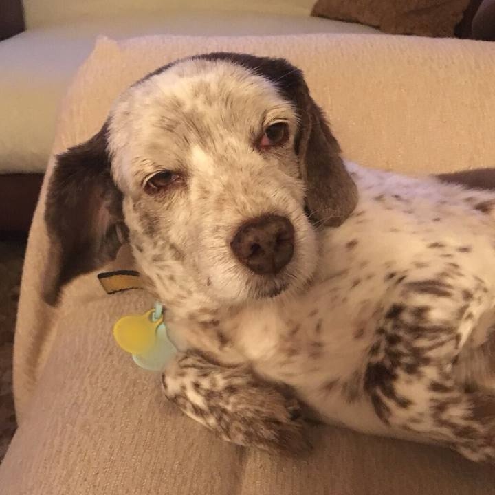 87493184 599d 4341 9f2b 36381a9ed79b 1510420961461