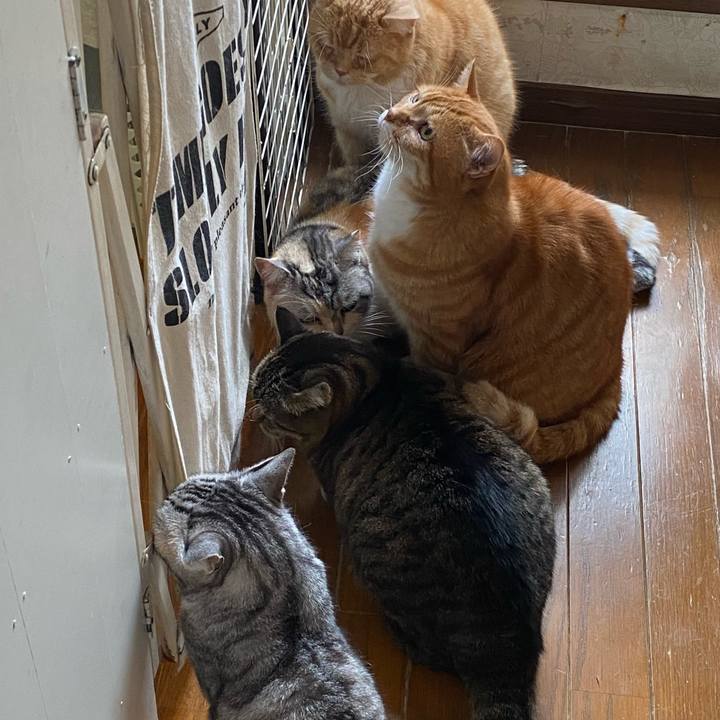 874935c0 4511 438f bb7f 672f6333c738 1654773848901