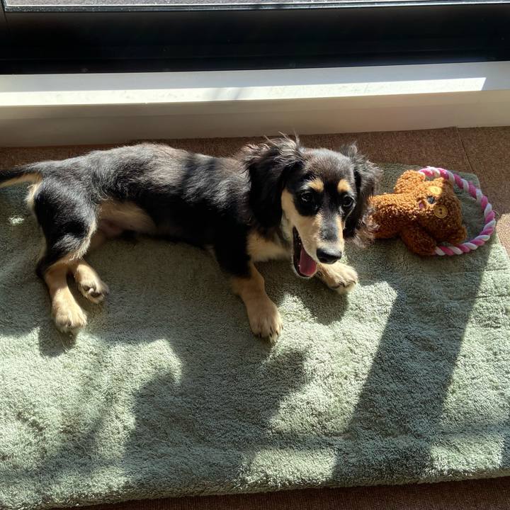 87495edf c62c 400d b24c 2d5b63aa3f88 1671597446641