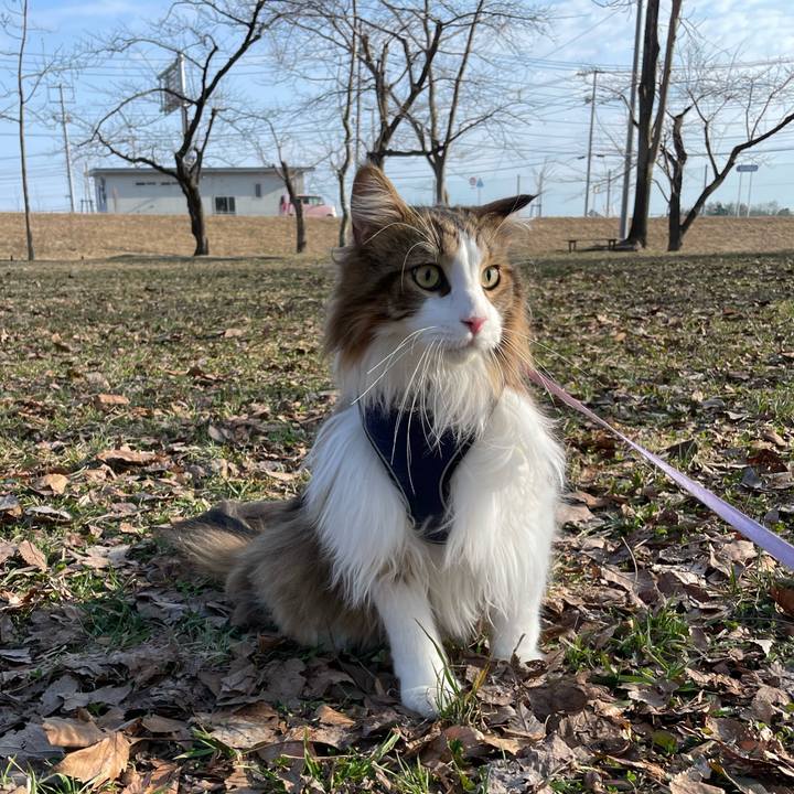 87496abd 62de 4edf 9410 6c2502b2acd5 1679383658071