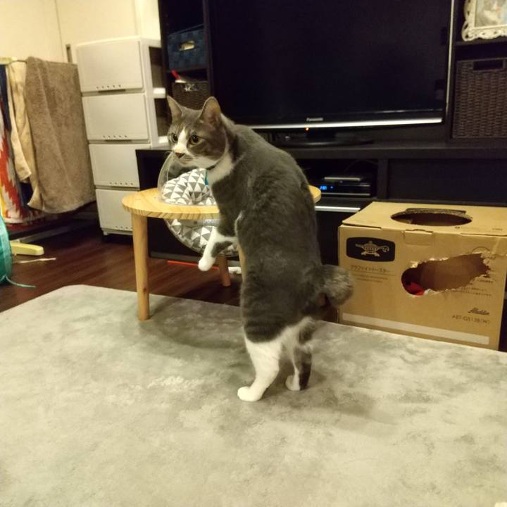 87496ca3 9f54 437e a877 1ff59eaf4daf 1607516805631