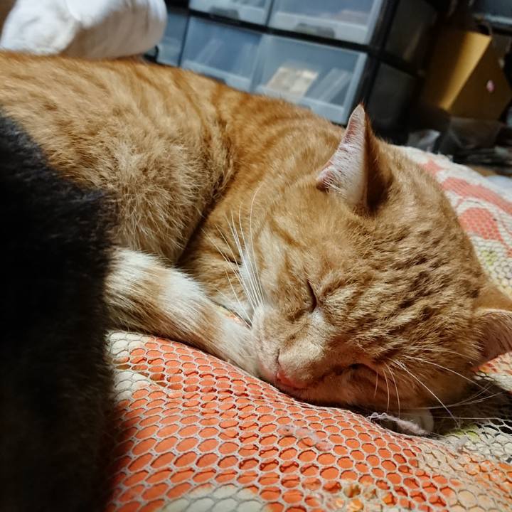 87497b67 24f9 4d23 ae88 eabdac832fff 1572096945321