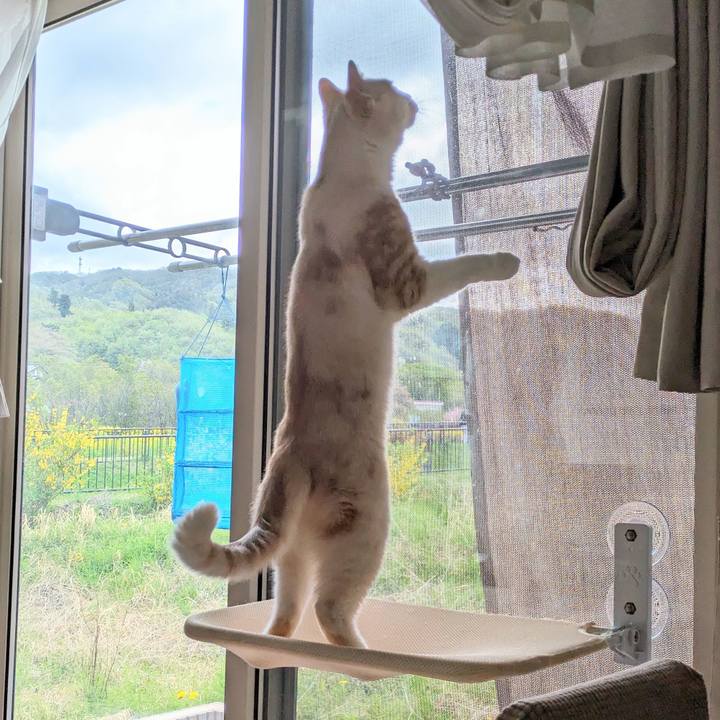 8749efb6 ce85 40cc 99e9 f343c52b55d7 1713484792665